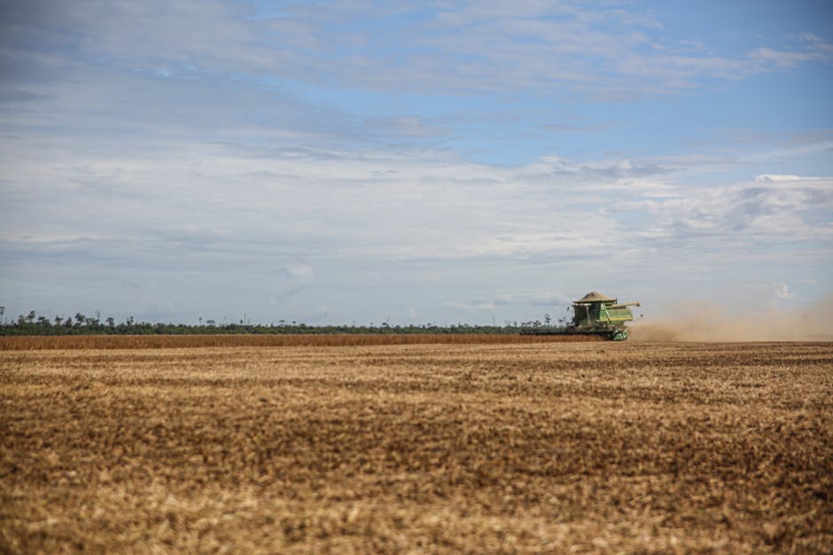 Tractor harvesting soybeans in a vast field under a clear sky in Paragominas, Brazil.